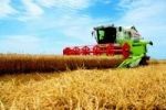В Волгоградской области завершается уборка поздних зерновых культур
