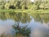 В Волгоградской области образован охраняемый ландшафт