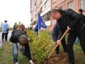 «Единороссы» продолжают озеленение Волжского