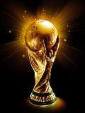 Чемпионат мира 2018 года: мнения волгоградских экспертов