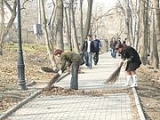 В Волгограде продолжается уборка территорий
