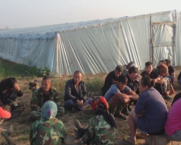 В Волгоградской области задержали около ста нелегальных мигрантов из Китая