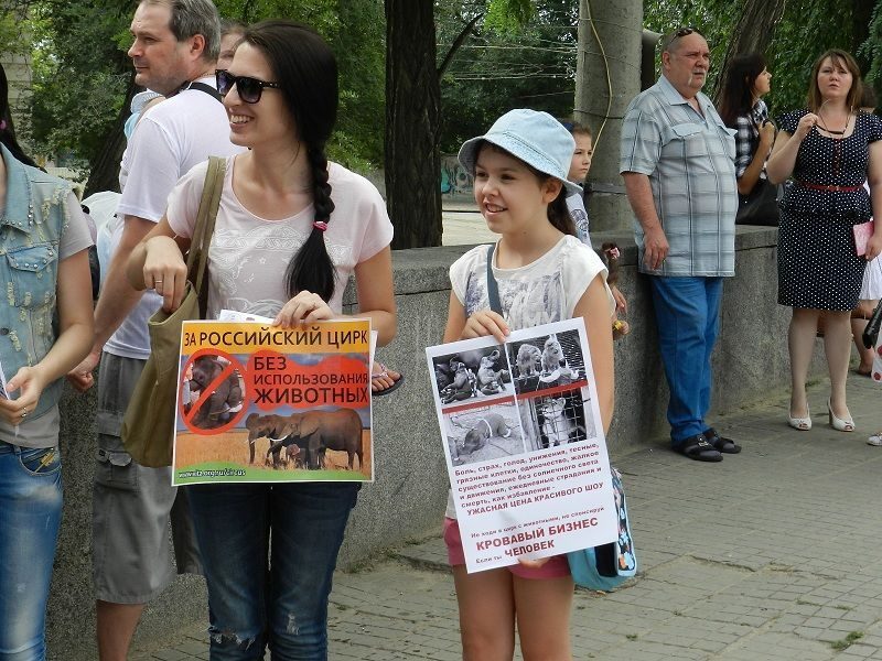 В Волгограде прошел пикет против использования животных в цирке