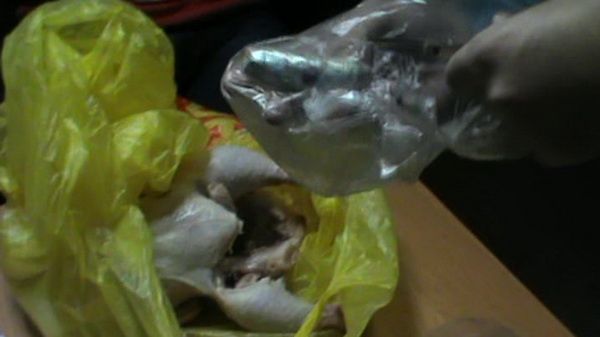 В Волгограде в колонию строгого режима привезли курицу, фаршированную наркотиками