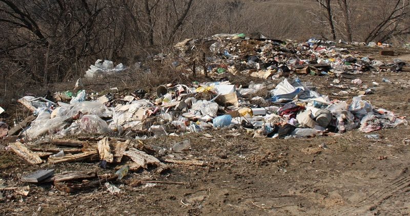 Волго-Ахтубинскую пойму пытаются очистить от мусора