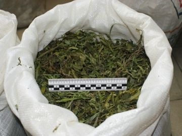 У жителя Новониколаевского района изъяли мешок марихуаны