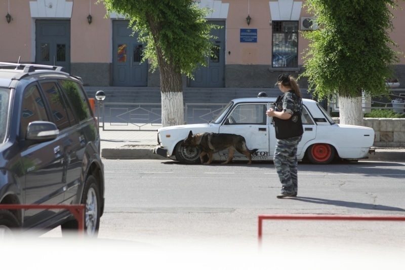 В подозрительном автомобиле, припаркованном в центре Волгограда, бомбы не оказалось