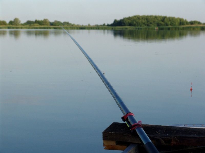 В Волгоградской области ограничили рыбную ловлю