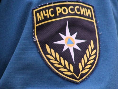 МЧС России запустило новый сервис по поиску пропавших людей