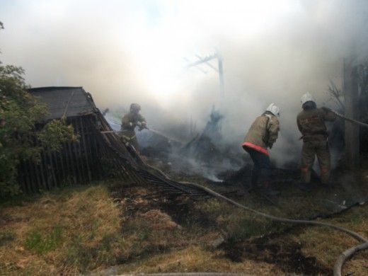 Под Волгоградом неизвестные сожгли загон с домашними животными