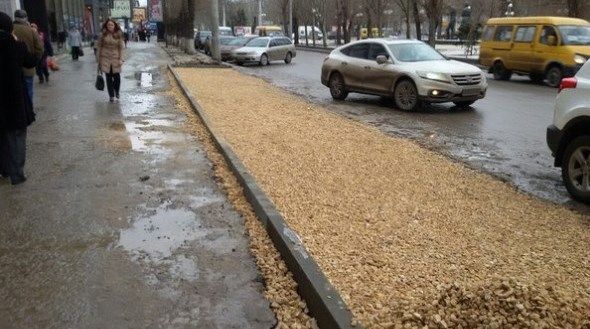 В центре Волгограда срубленные деревья освободили место под парковку
