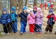 Многодетным семьям Волгограда вернули льготы за детские сады