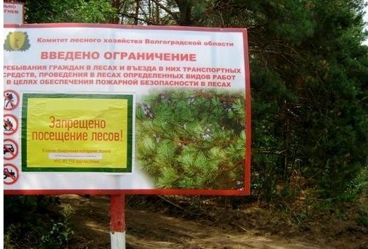 В Волгоградской области продолжает действовать режим ограничения посещения лесов