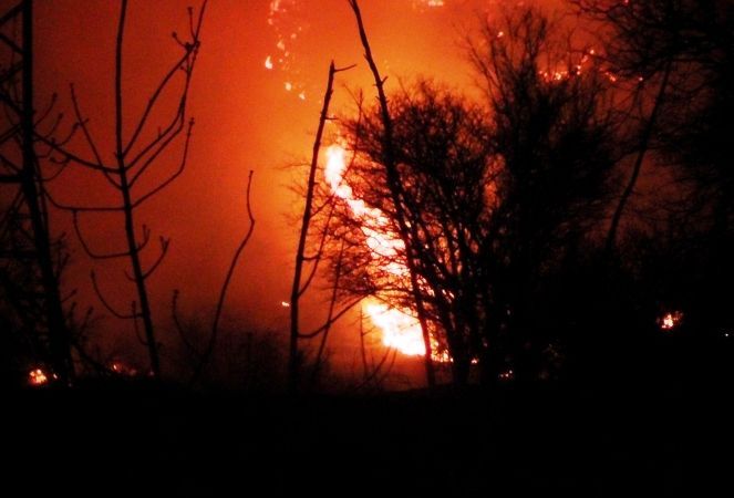 В Волгоградской области пожароопасность привела к экстренному предупреждению
