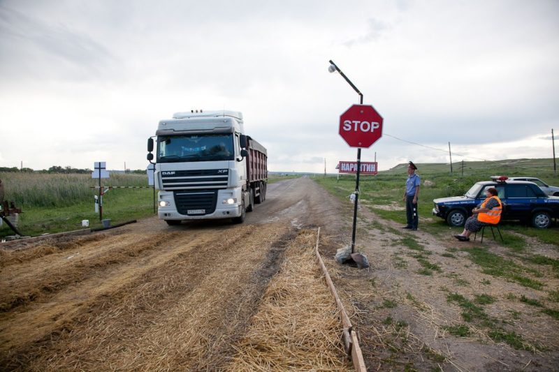 В 17 километрах от границы Волгоградской области нашли очаг АЧС