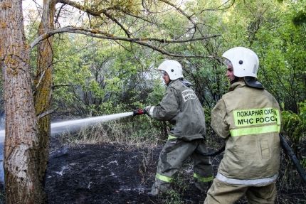 В Волгоградской области создана мобильная группа для тушения пожаров