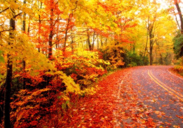 10 способов сохранить хорошее настроение осенью