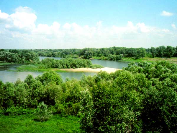 Волгоградский Арбитражный суд вернул в госсобственность 41 га природного парка