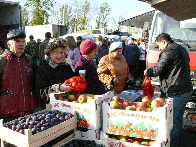 В Волгограде районная власть требует закрытия ярмарки у Дворца спорта