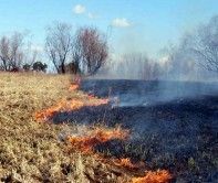 Специалисты выяснили причину запаха гари в Астрахани