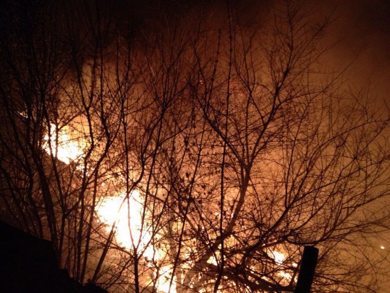 В Волгограде близ домов горит овраг