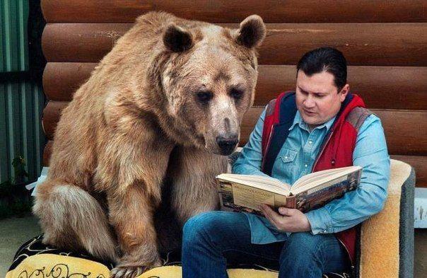 Русская семья на протяжении 23-х лет воспитывает знаменитого медведя Степана