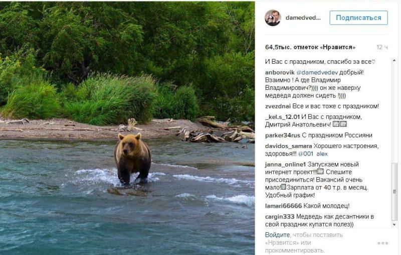 Дмитрий Медведев поздравил россиян с Днем России фотографией с изображением медведя