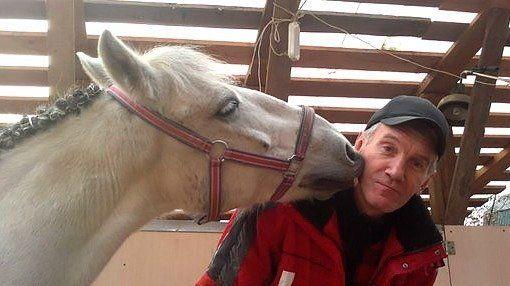 «Мы окончательно озвереем и исчезнем как народ»: в Подольске жестоко травят лошадей, занимающихся с детьми-инвалидами