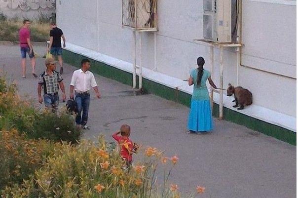 По Волгограду цыганка прогуливалась с медвежонком