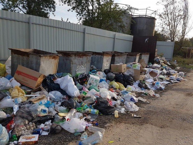 Жители Городища привезут горы мусора к администрации