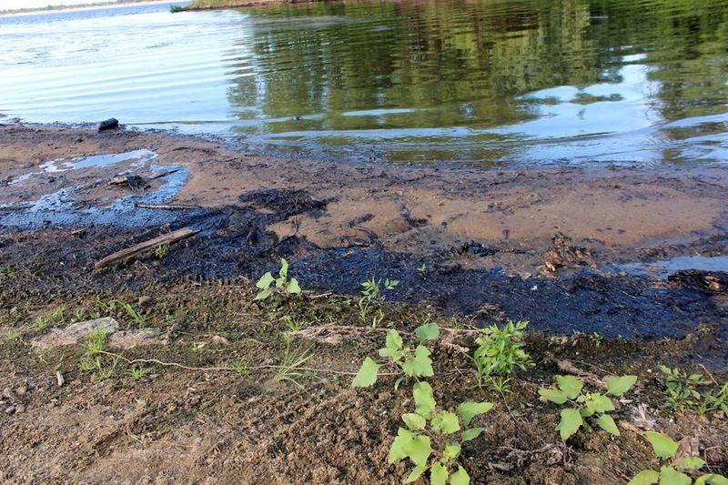 Ущерб природе от разлива нефти в Светлоярском районе оценили в 20 млн рублей