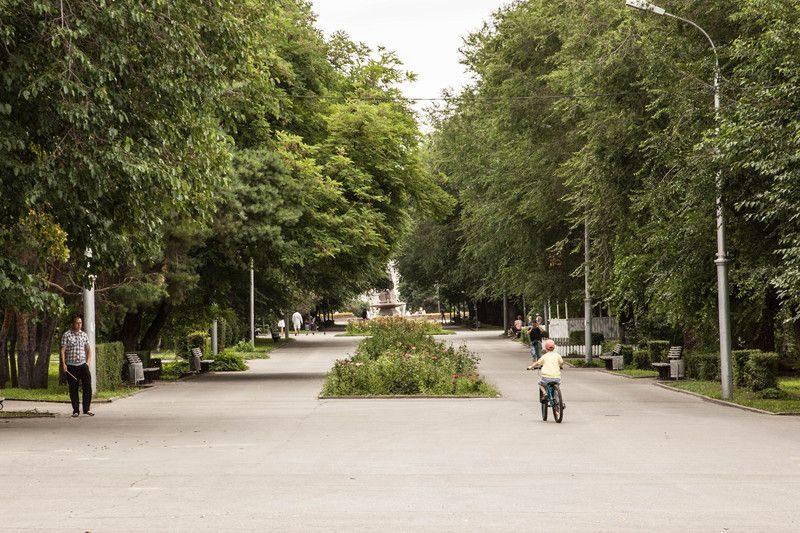 В Волгограде создадут экспертную комиссию по проблеме озеленения города