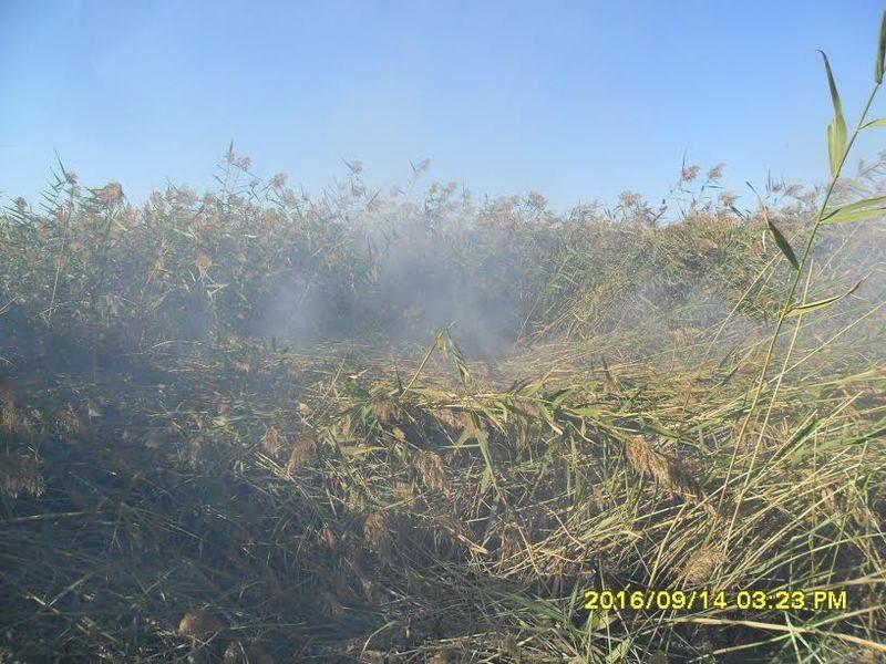 Экологи нашли причину неприятного запаха на юге Волгограда