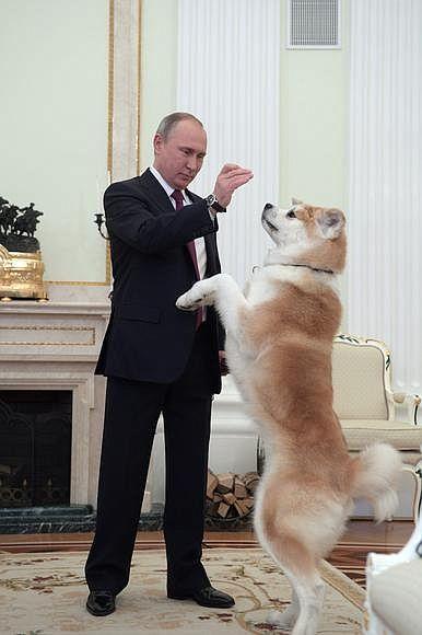 На встречу с японскими журналистами Владимир Путин взял свою собаку