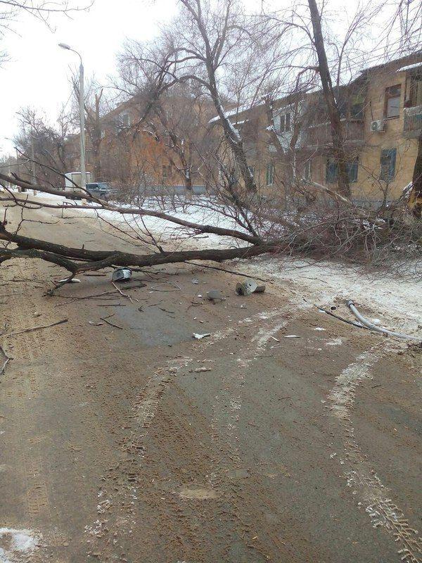 В Волгограде ветер валит деревья, столбы и строительные краны 
