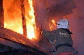 За сутки от пожаров в Волгоградской области погибли 2 человека