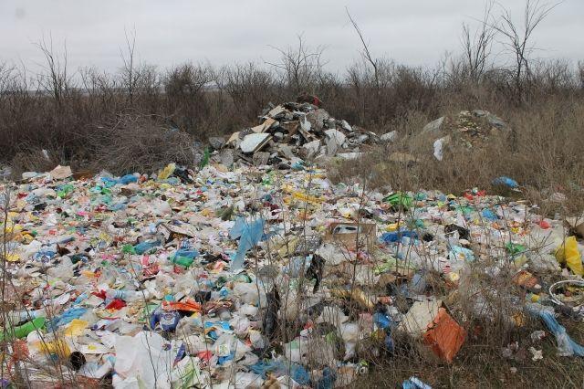 Жители Городищенского района утопают в мусоре