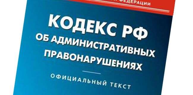 В Волгограде за неделю в отношении мусороперевозчиков составили более 30 протоколов
