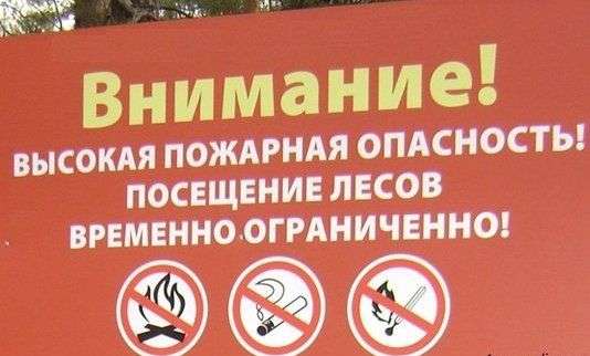 В регионе продлили запрет на посещение лесов
