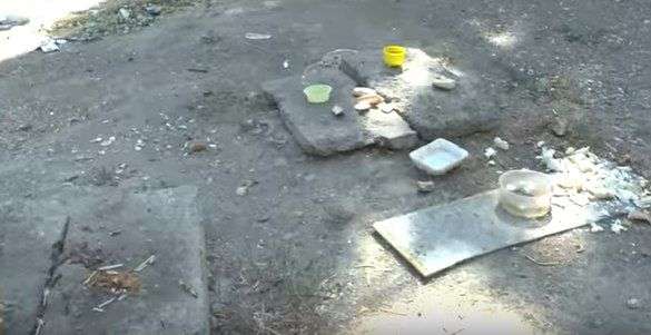 Волгоградский двор в видоролике