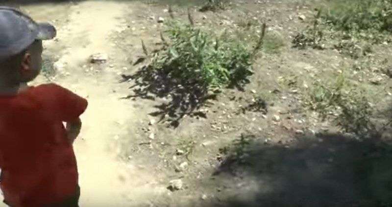 Волгоградец снял на видео двор