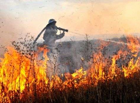 В Дубовском районе пожар угрожает населенному пункту