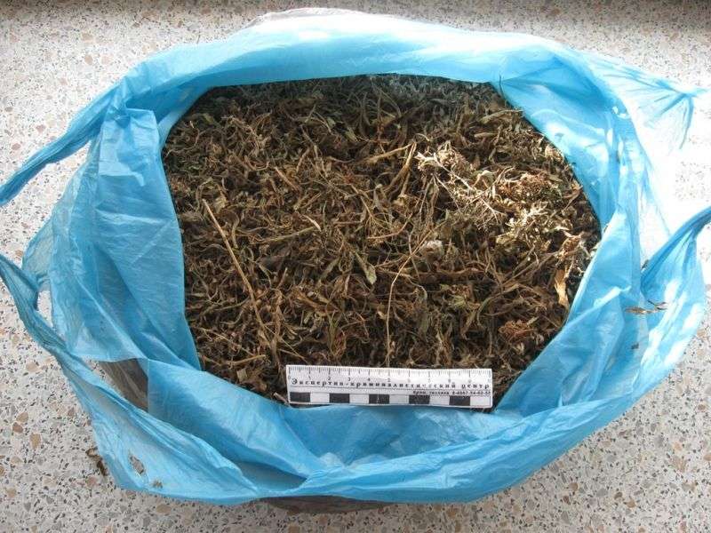 Житель Петров Вала хранил на чердаке пакеты с марихуаной