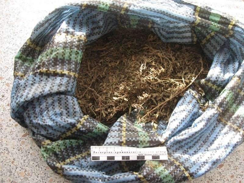 Житель Петров Вала хранил на чердаке пакеты с марихуаной