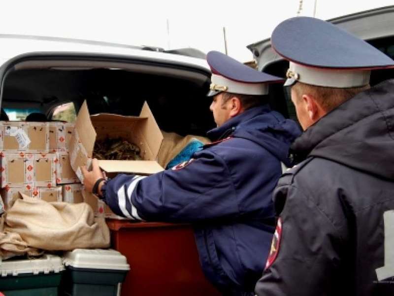 Волгоградские полицейские изъяли 22 килограмма раков у воронежца