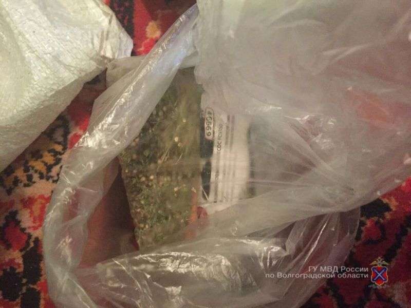 Под Волгоградом на даче у 35-летнего мужчины нашли полкило марихуаны