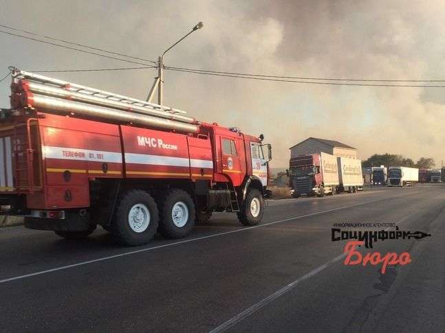 С начала года Волгоградская область горела почти 9 000 раз