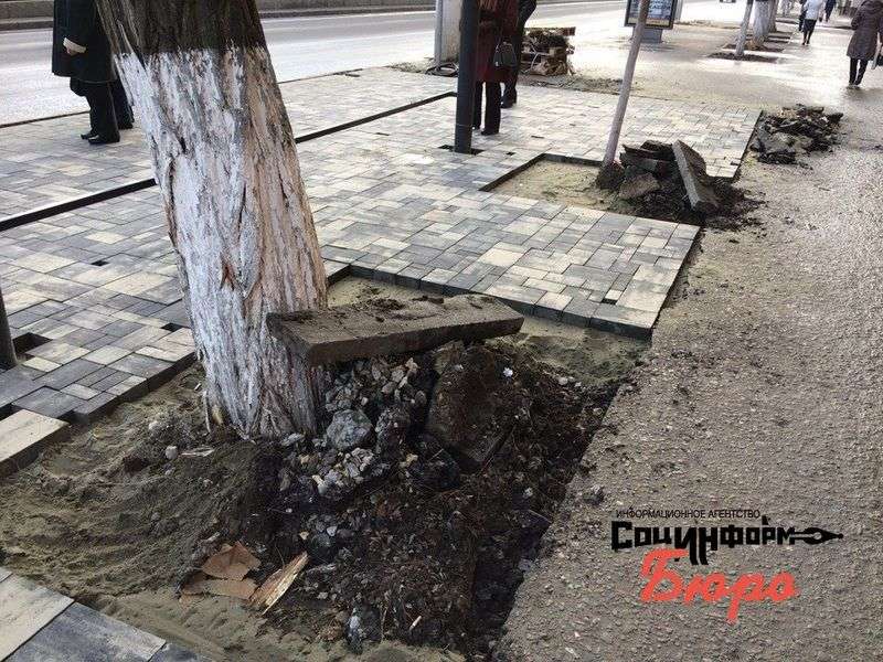При монтаже остановки в центре Волгограда покалечили деревья