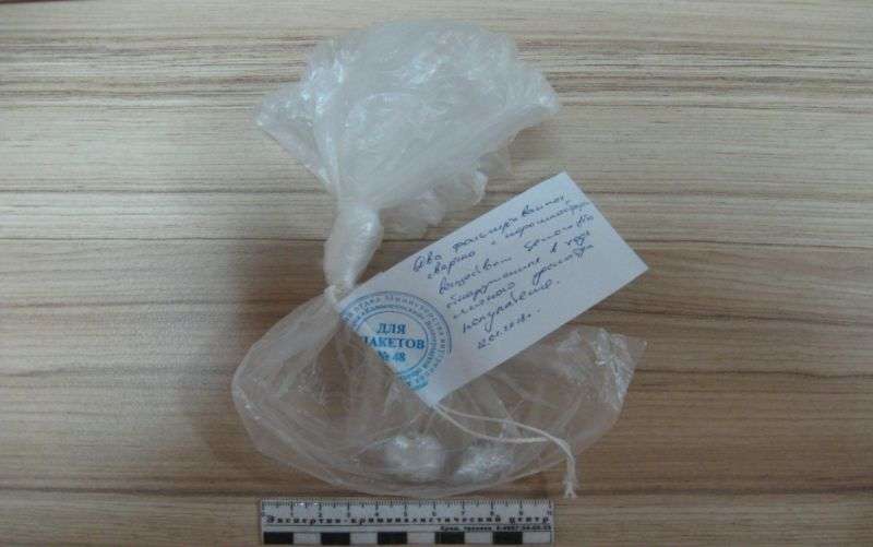 Полиция нашла в холодильнике камышанки метамфетамин