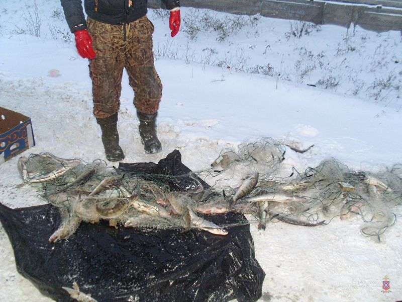 В Волжском задержали браконьеров